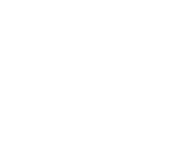 The Blue Ox Group